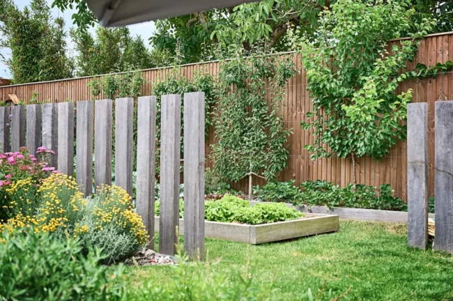 cloture de potager en bois