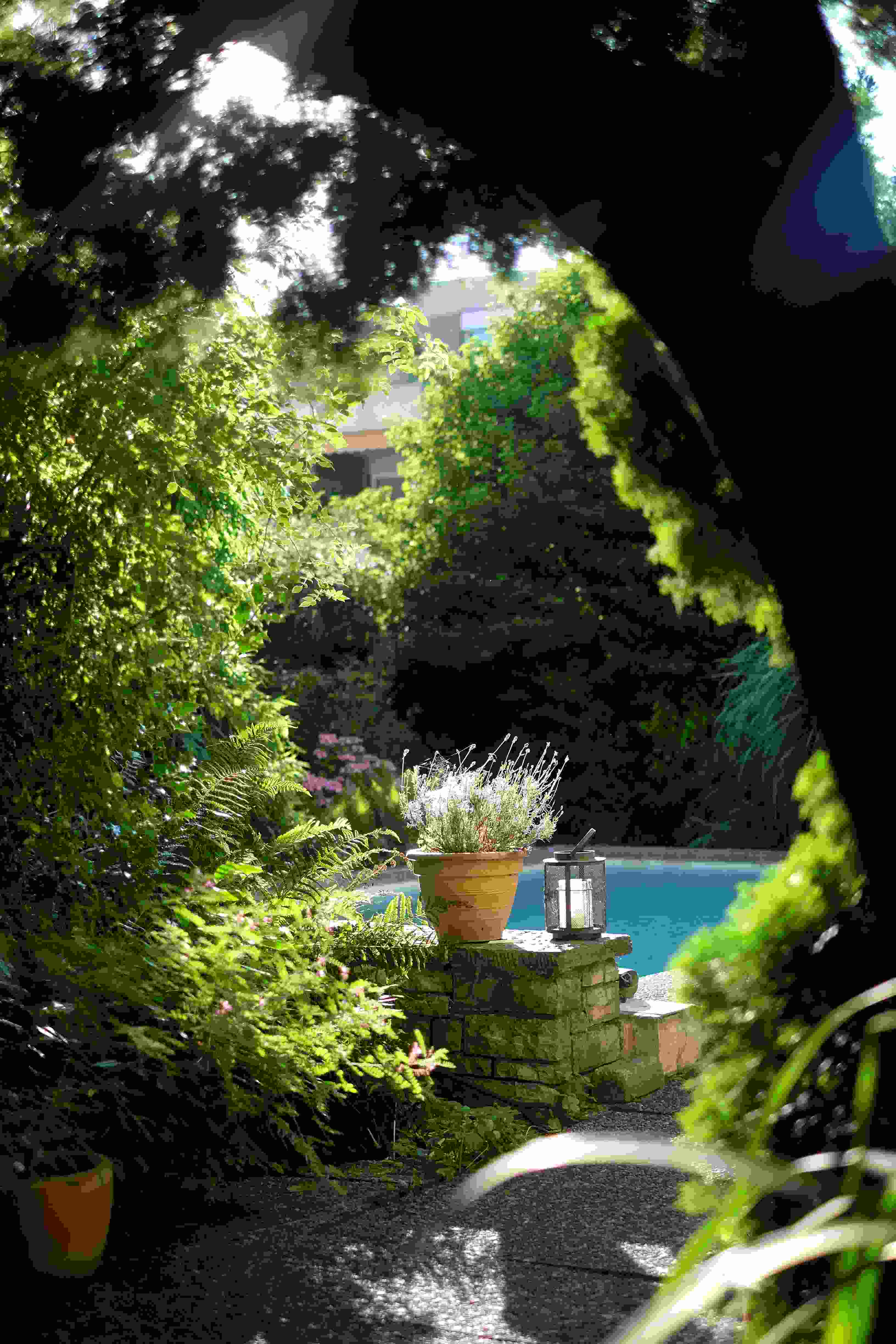 Petit jardin avec piscine naturelle et coin détente végétalisé – paysages des 2 rivières