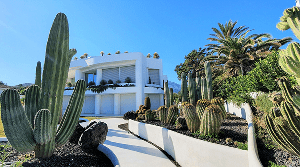 amenagement-massif-cactus-design-paysages-des-2-rivieres
