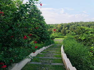 chemin-paysager-escalier-jardin-en-pente-nantes