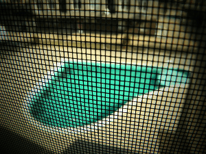 piscine-vue-grille-protection-visuelle-paysages-des-2-rivieres.