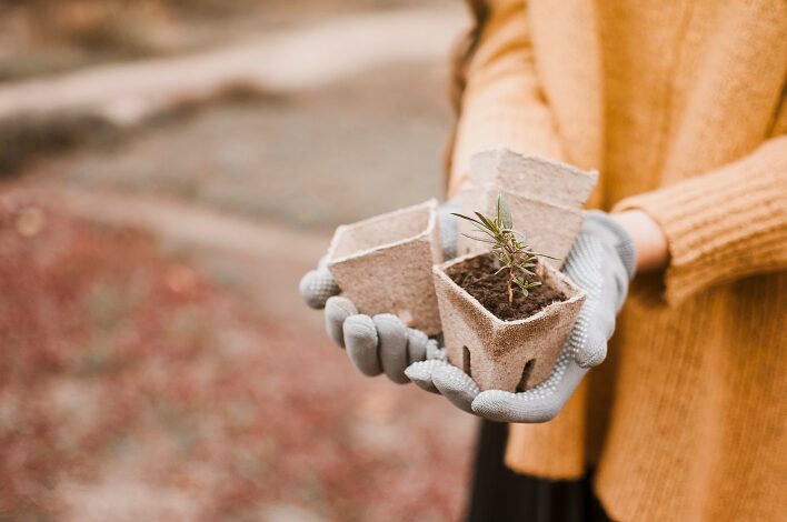 potager d’hiver-2