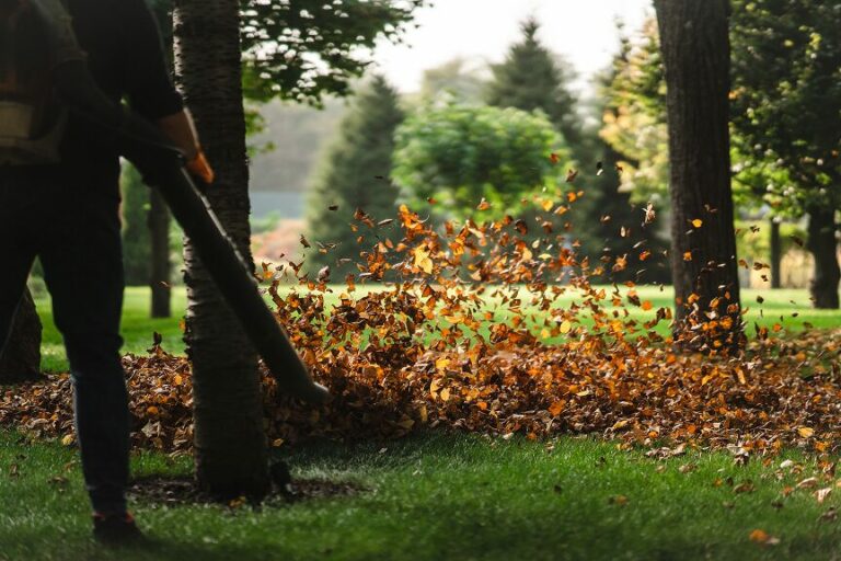 que faire des feuilles mortes du jardin-2