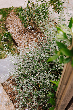 aménagement de jardin - P2R - 1